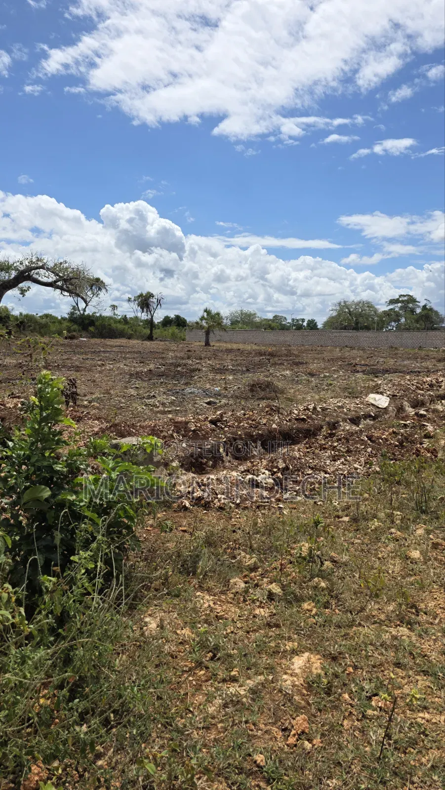 Diani Prime 50x100ft Plots for Sale