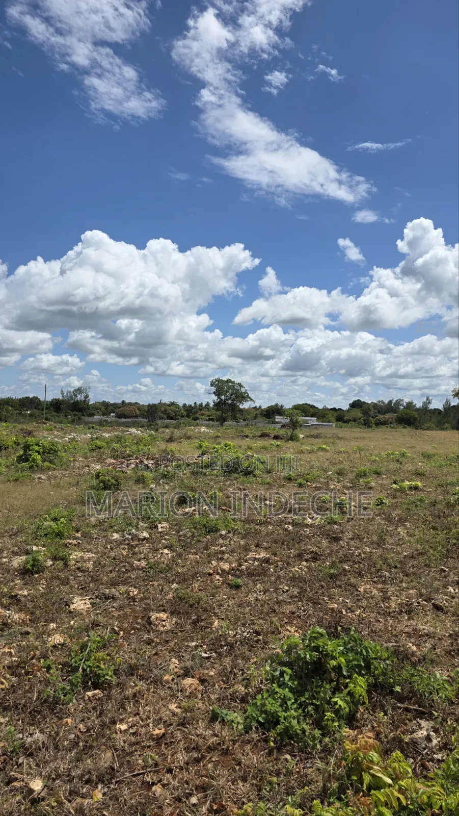 Diani Prime 50x100ft Plots for Sale