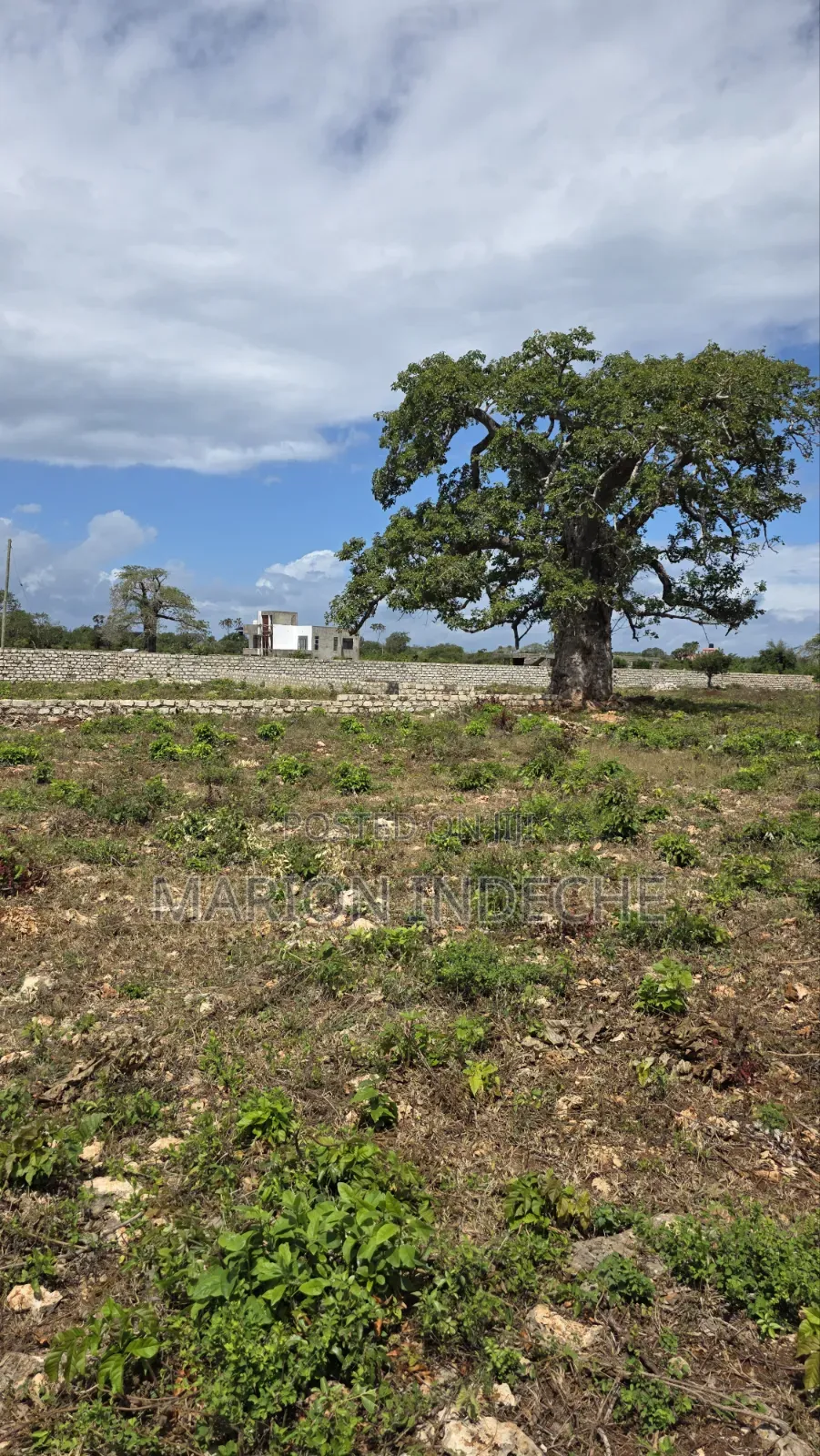 Diani Prime 50x100ft Plots for Sale