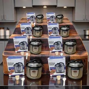 Wholesale Prices 4L,5L,6L Electric Digital Pressure Cookers