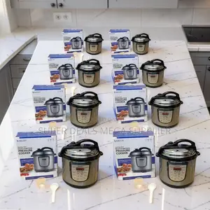 Factory Direct Prices 4L,5L,6L Electric Digital Pressure Cookers