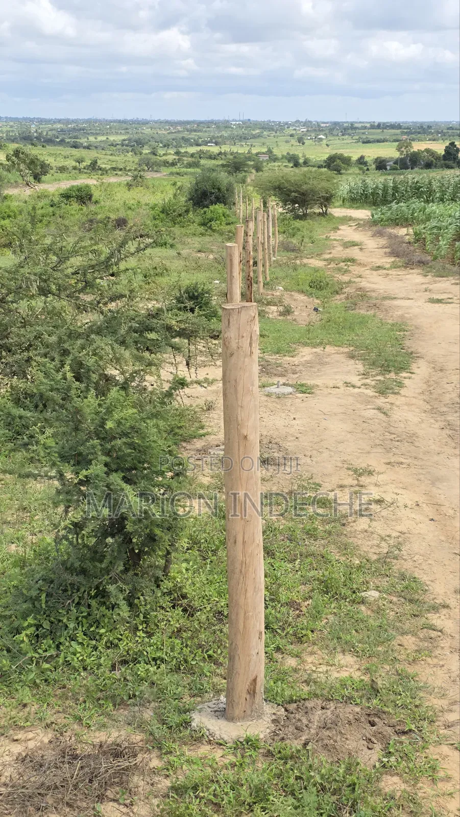 Prime 50x100ft Plots for Sale in Mariakani