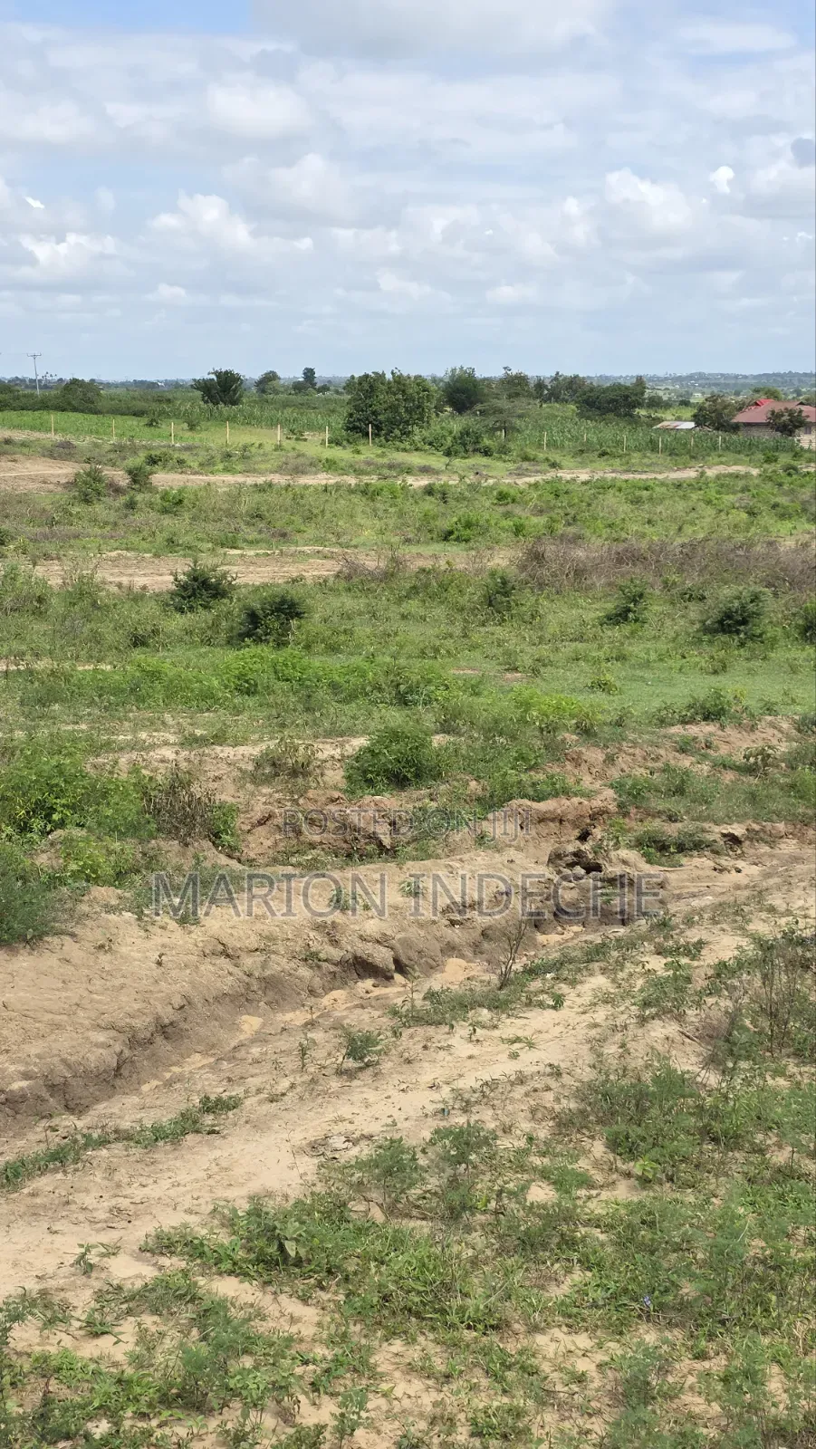 Prime 50x100ft Plots for Sale in Mariakani