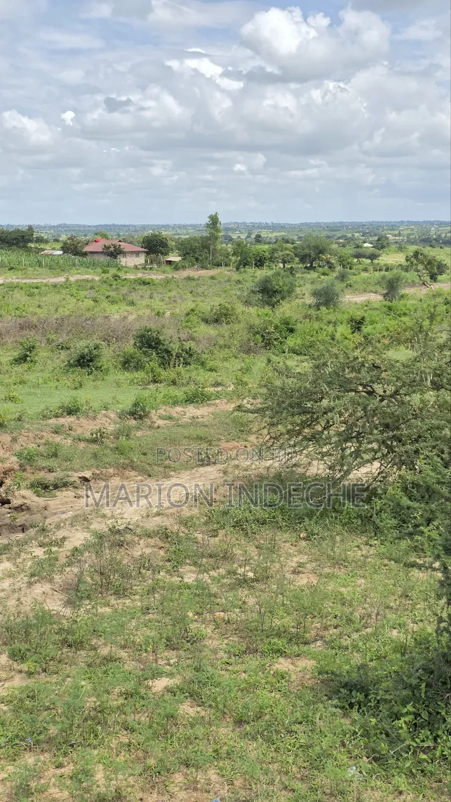Prime 50x100ft Plots for Sale in Mariakani