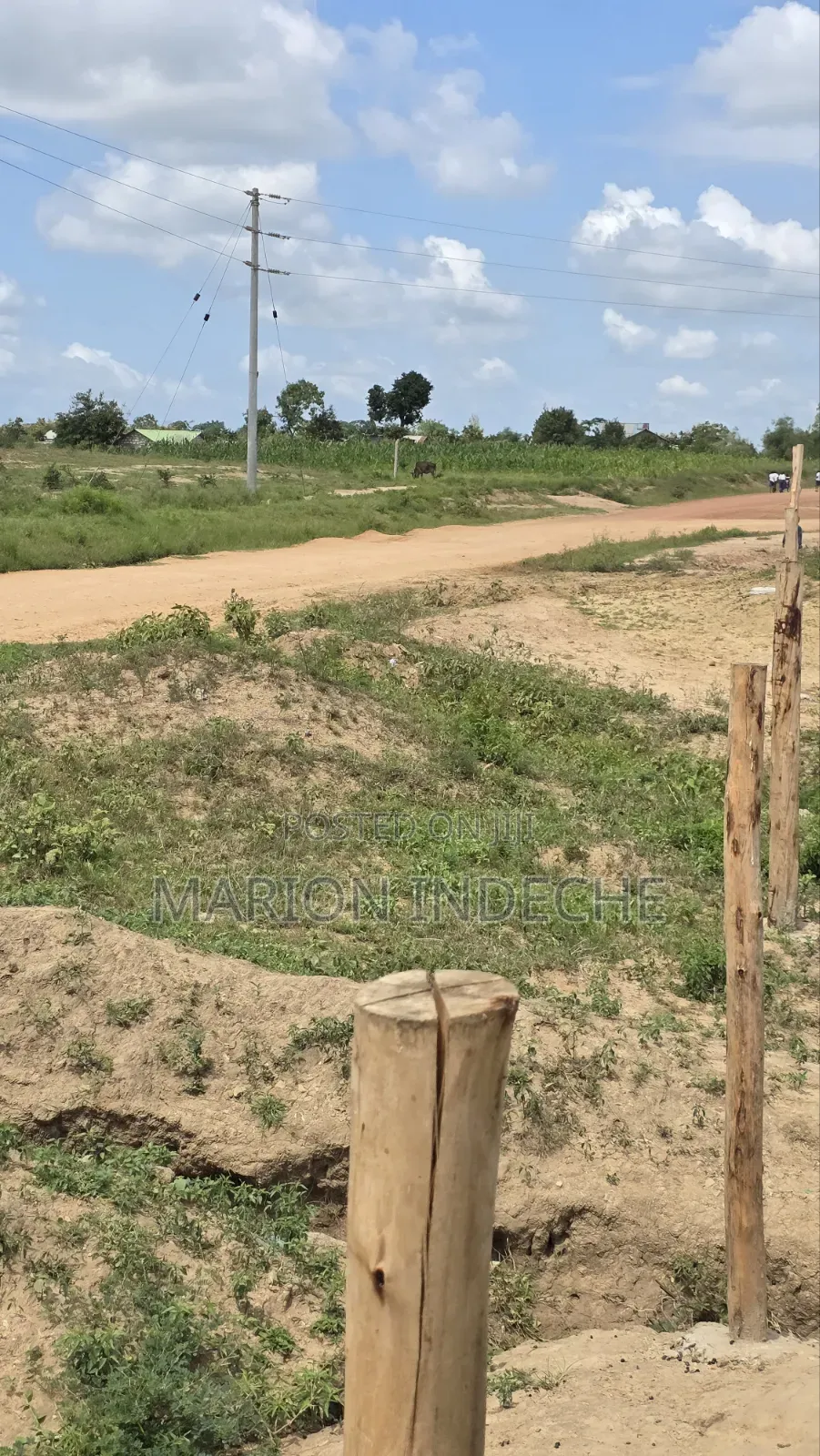 Prime 50x100ft Plots for Sale in Mariakani