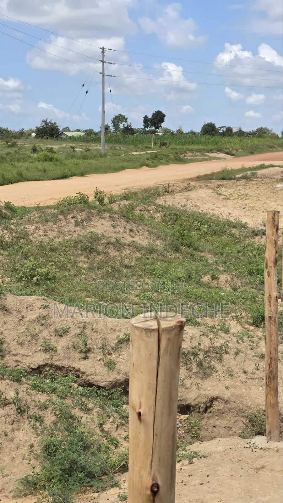 Prime 50x100ft Plots for Sale in Mariakani