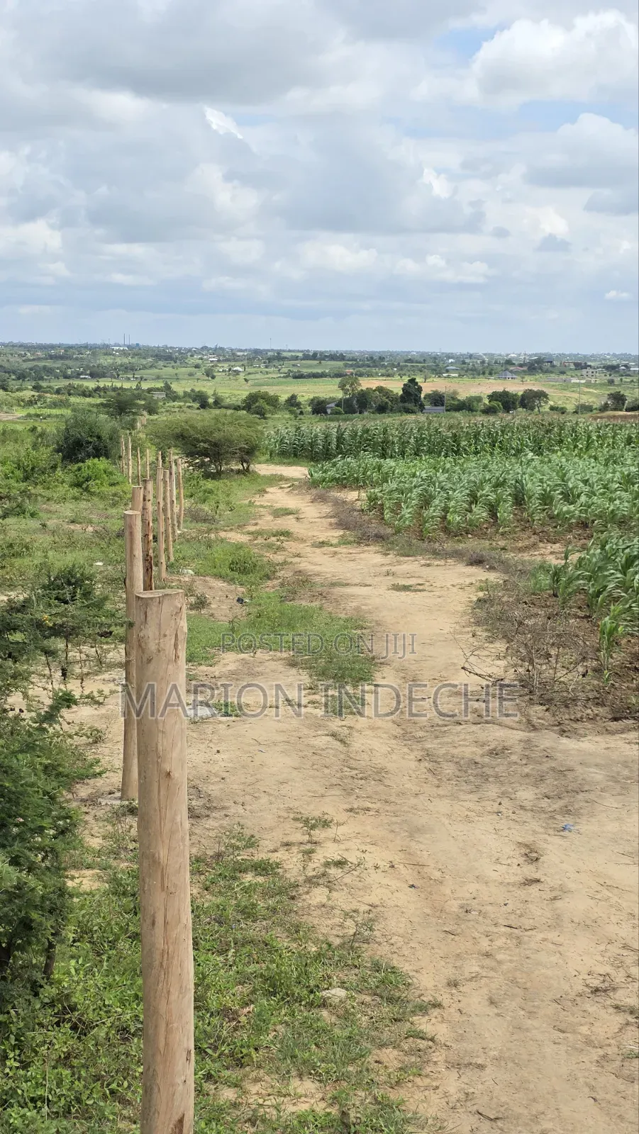 Prime 50x100ft Plots for Sale in Mariakani