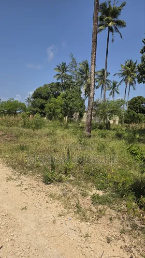 2 Acres for Sale in Kilifi Tezo Ideal for Both Residential/ Farmland