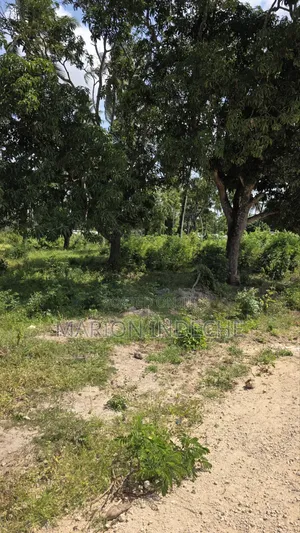 2 Acres for Sale in Kilifi Tezo Ideal for Both Residential/ Farmland