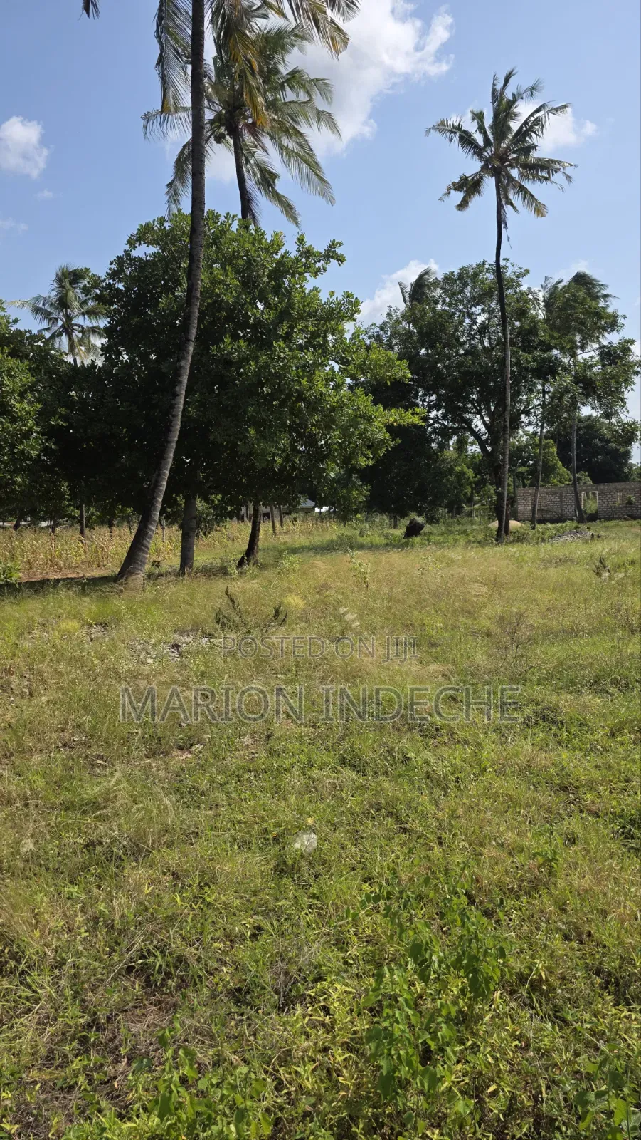 2 Acres for Sale in Kilifi Tezo Ideal for Both Residential/ Farmland