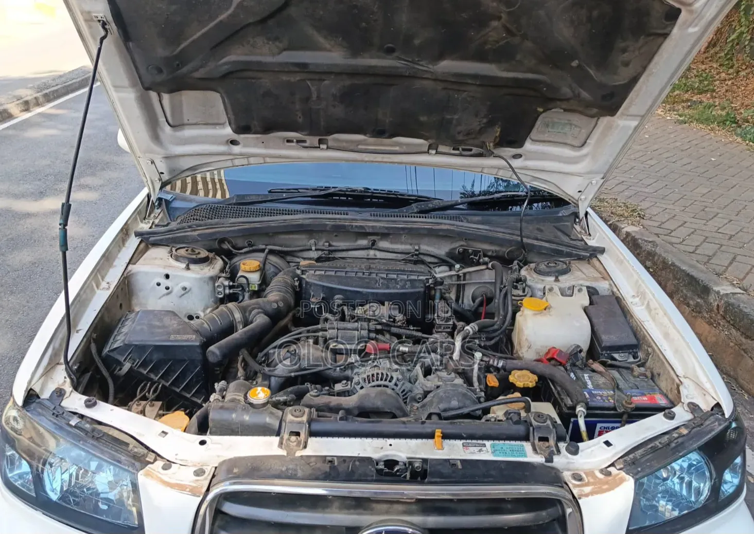 Subaru Forester 2003 White