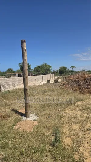 Bofa Plots for Sale (50b×100 )