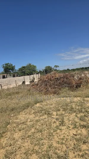 Bofa Plots for Sale (50b×100 )