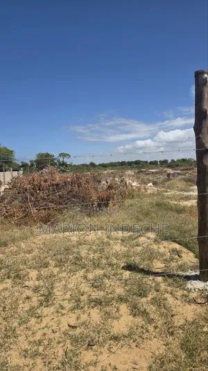 Bofa Plots for Sale (50b×100 )