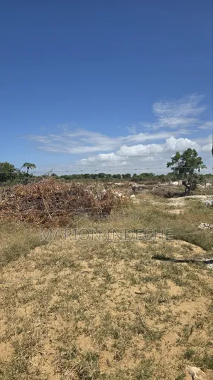 Bofa Plots for Sale (50b×100 )