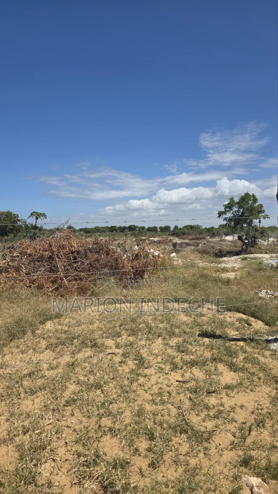 Bofa Plots for Sale (50b×100 )