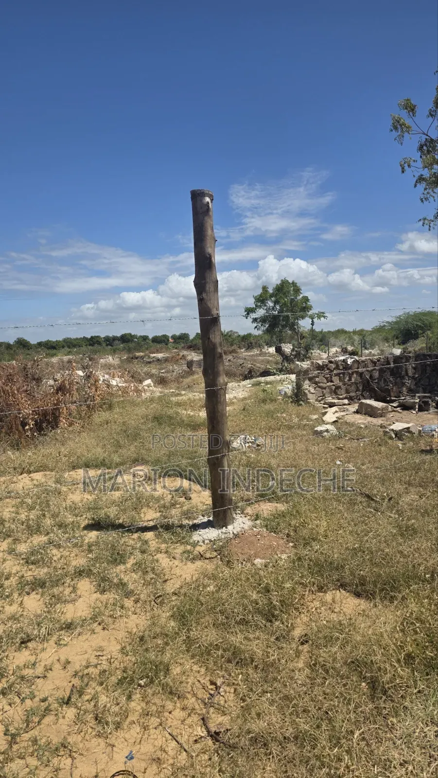 Bofa Plots for Sale (50b×100 )