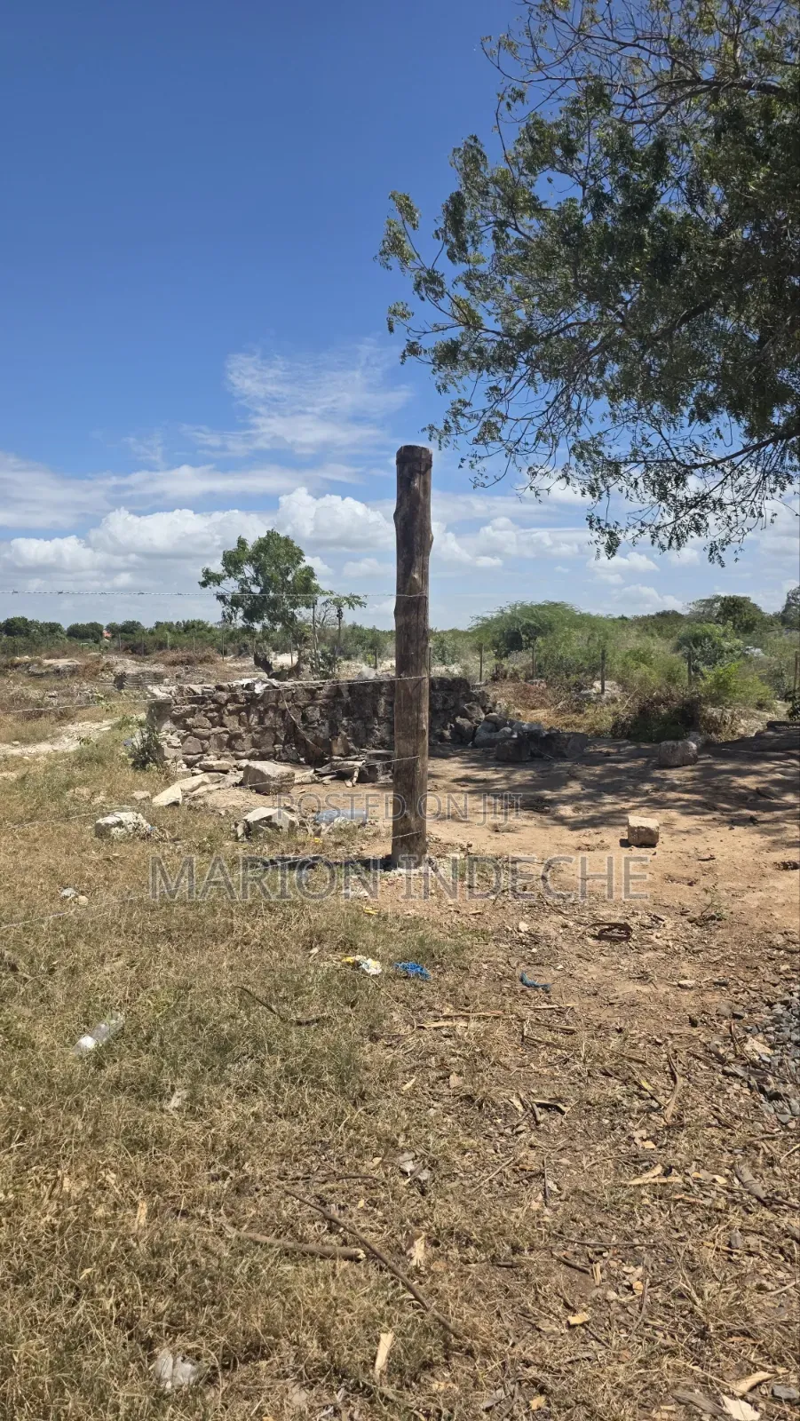 Bofa Plots for Sale (50b×100 )