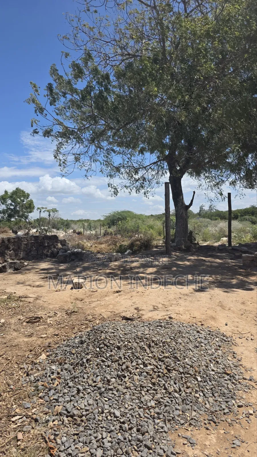 Bofa Plots for Sale (50b×100 )
