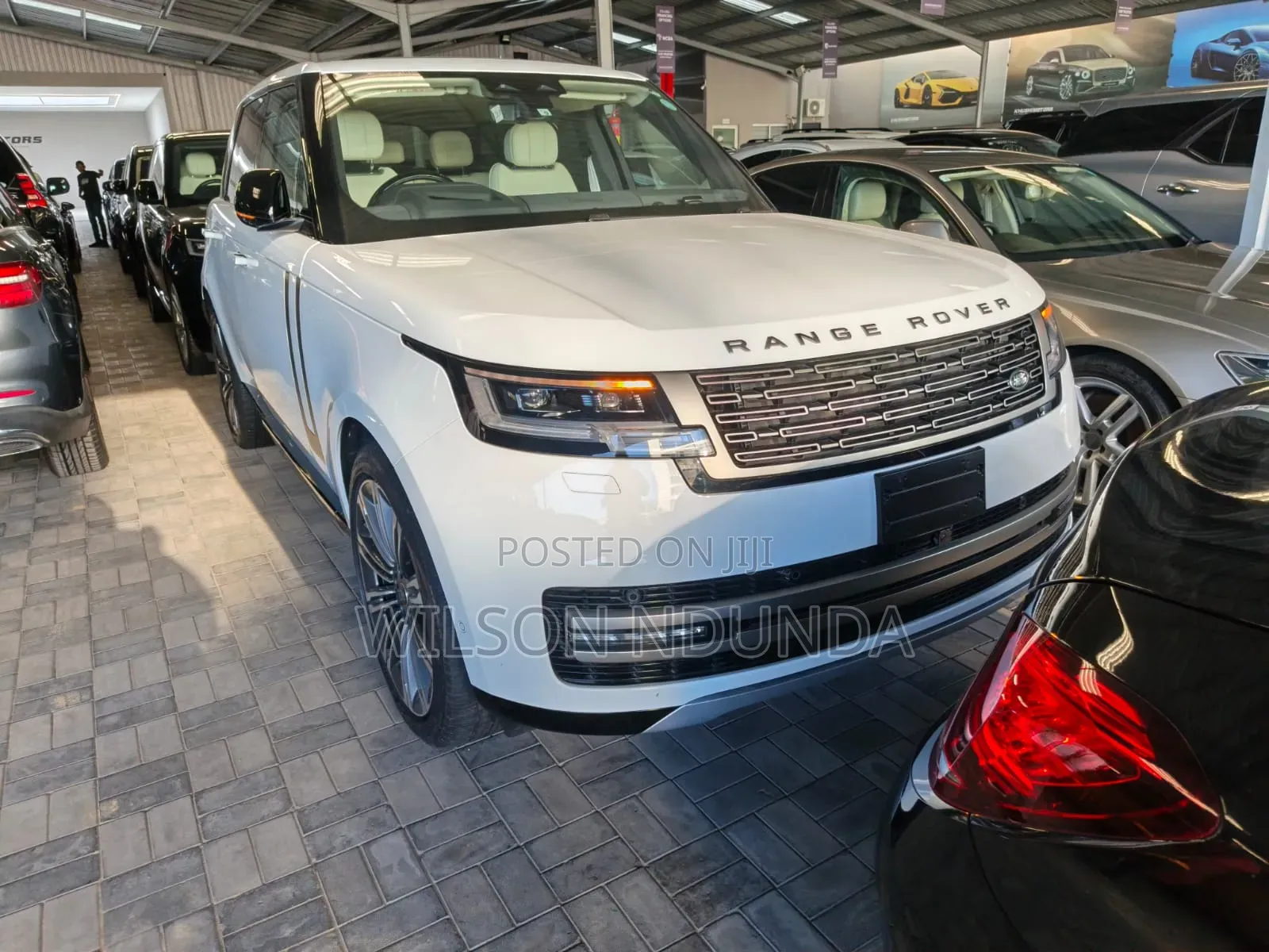 Rover Land 2022 White