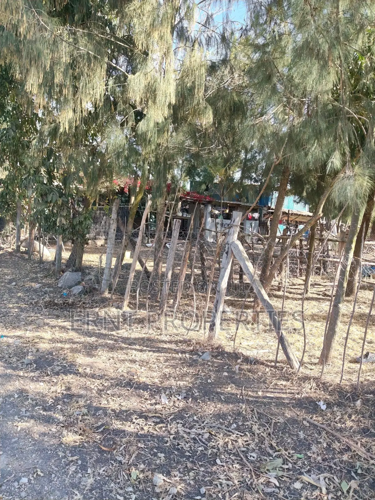 Prime 1/8 Acre Plot in Sucos/Optiven Estate | KSh 1.25M