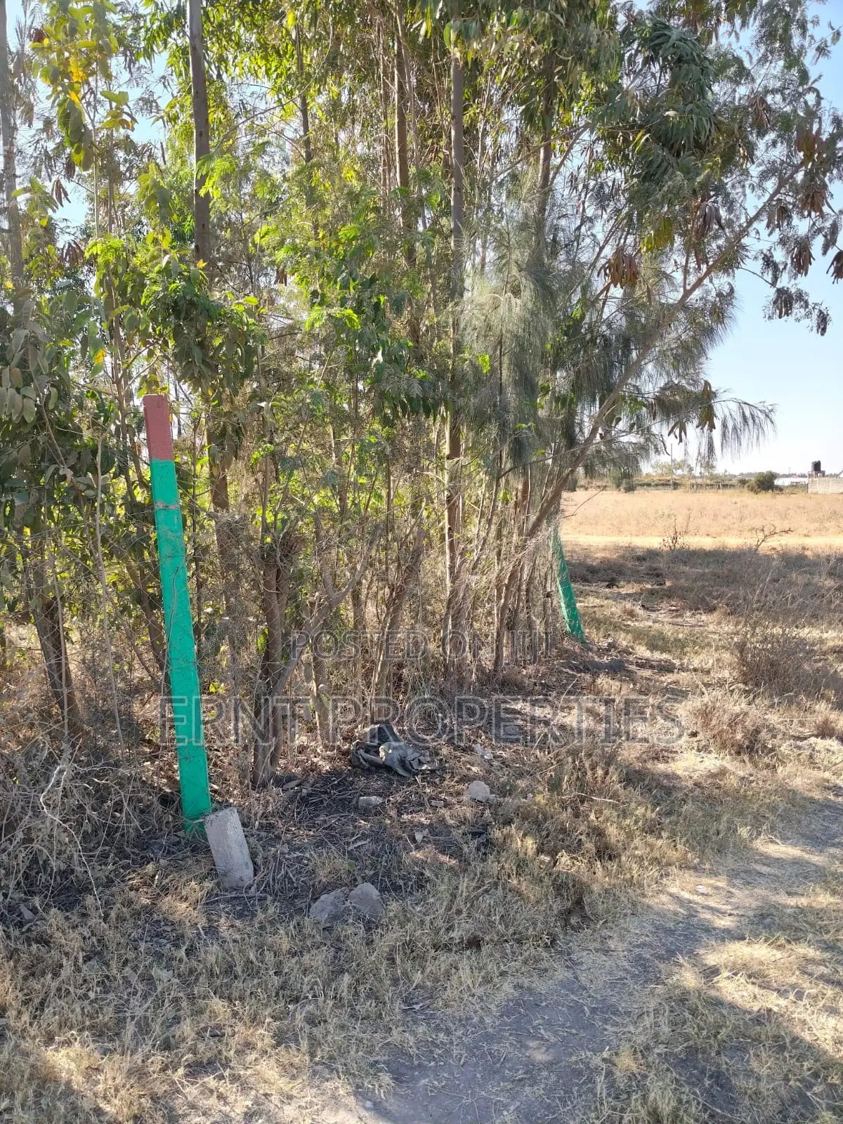 Prime 1/8 Acre Plot in Sucos/Optiven Estate | KSh 1.25M