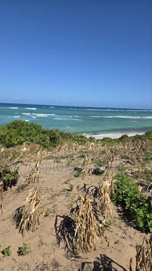 8 Acres Beach Front for Sale at 15m