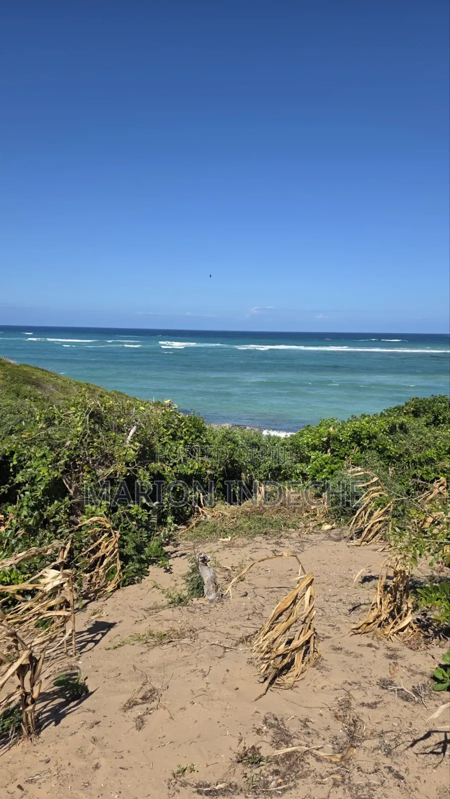 8 Acres Beach Front for Sale at 15m
