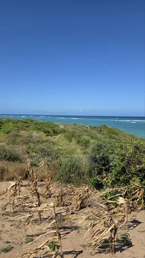 8 Acres Beach Front for Sale at 15m