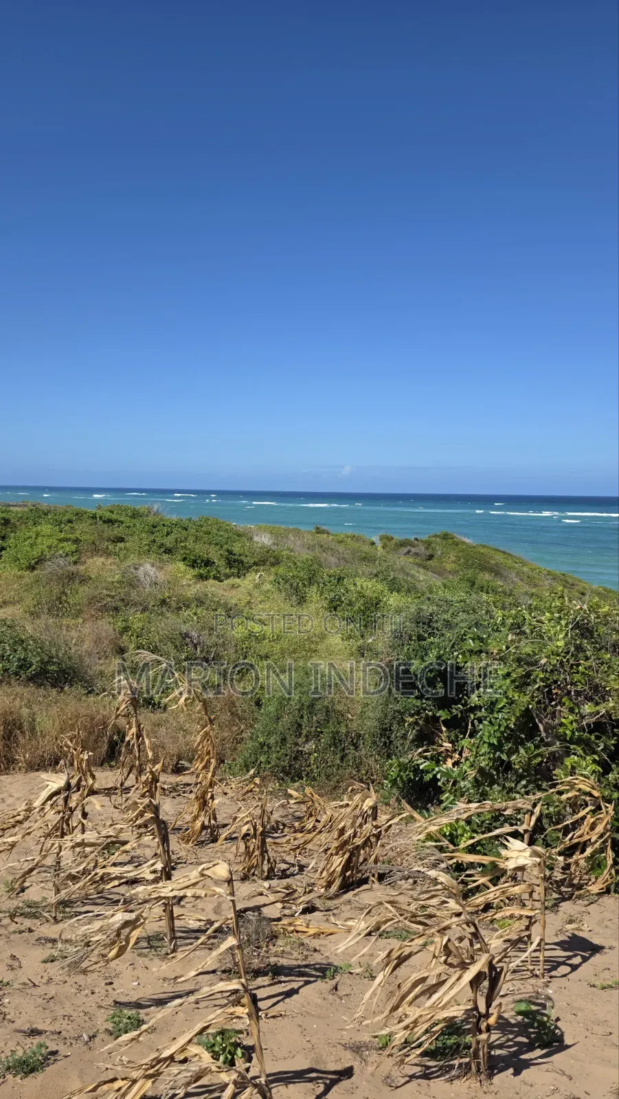 8 Acres Beach Front for Sale at 15m