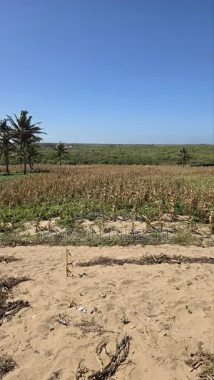 8 Acres Beach Front for Sale at 15m