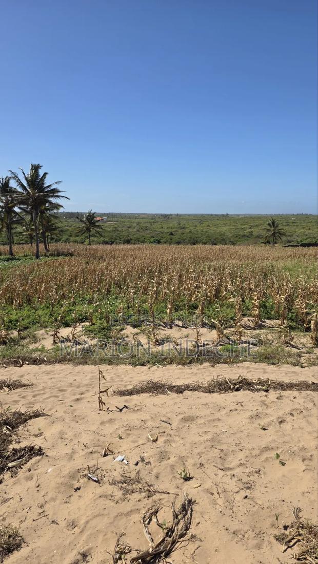 8 Acres Beach Front for Sale at 15m - thumbnail 4