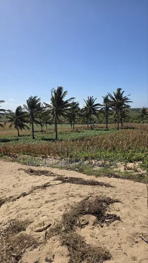 8 Acres Beach Front for Sale at 15m