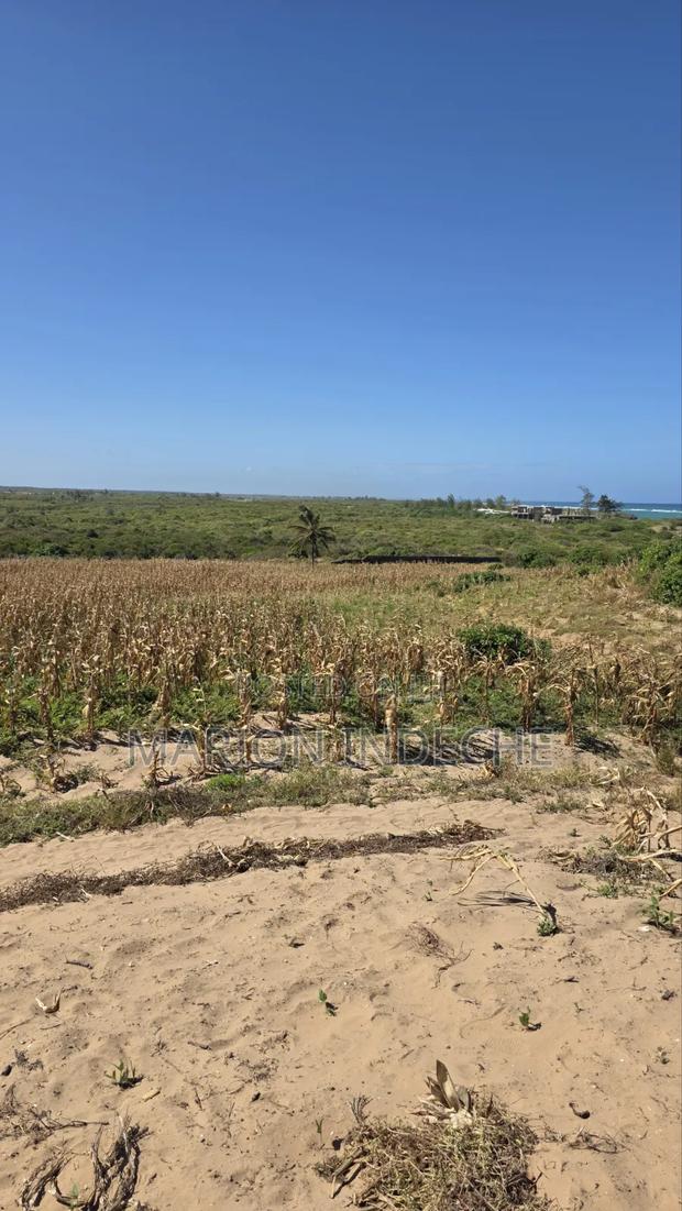 8 Acres Beach Front for Sale at 15m - thumbnail 6