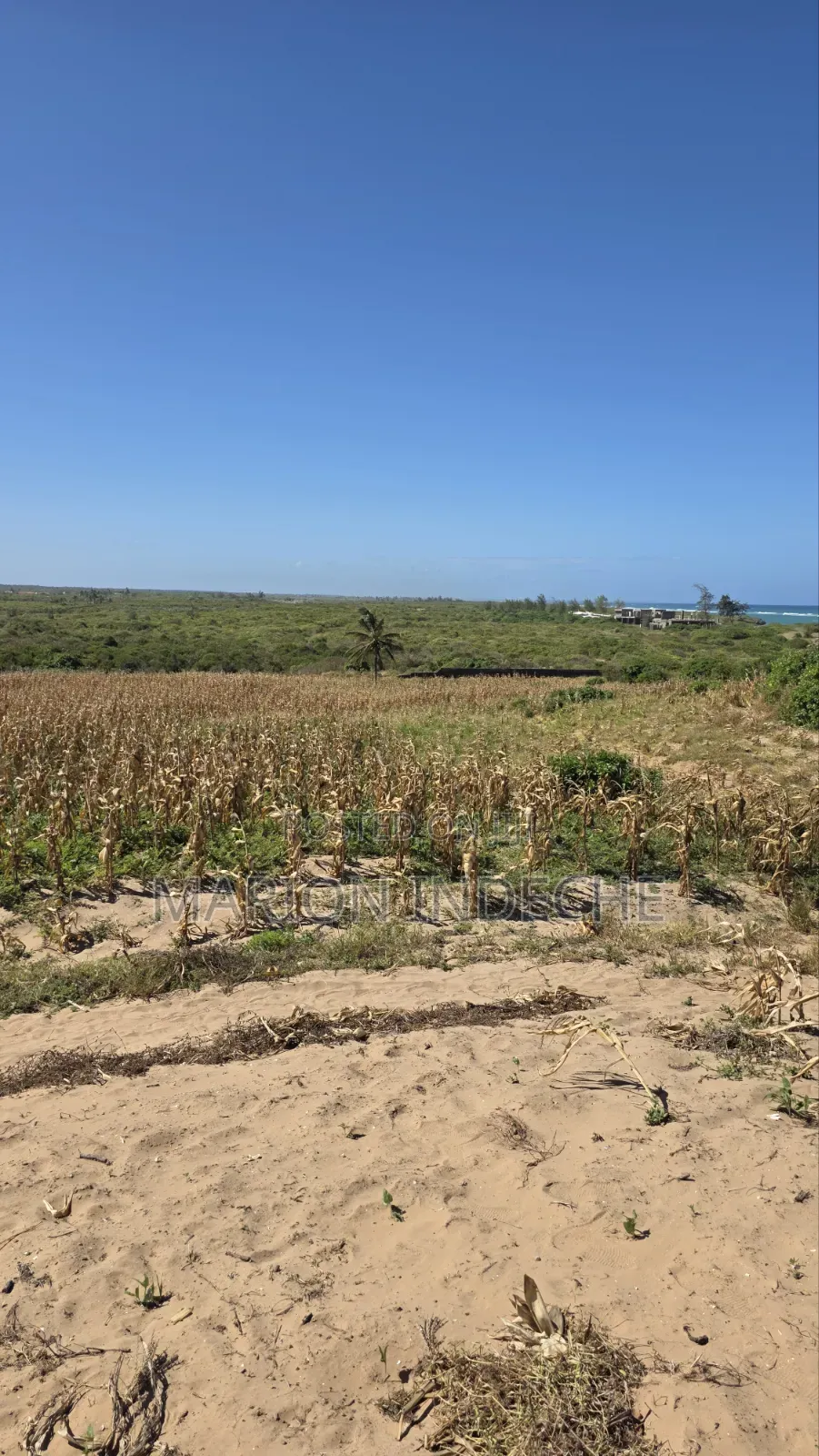 8 Acres Beach Front for Sale at 15m