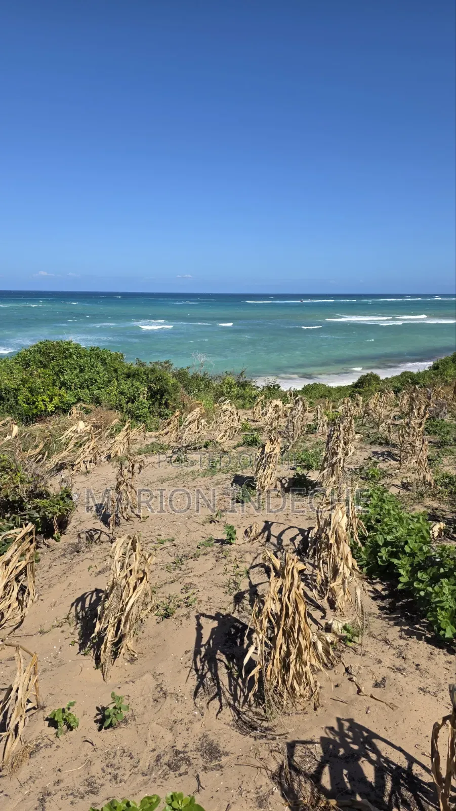 8 Acres Beach Front for Sale at 15m
