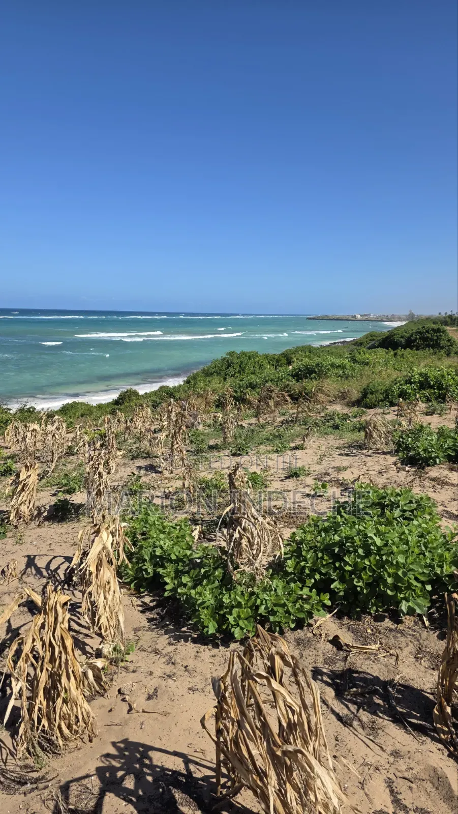 8 Acres Beach Front for Sale at 15m