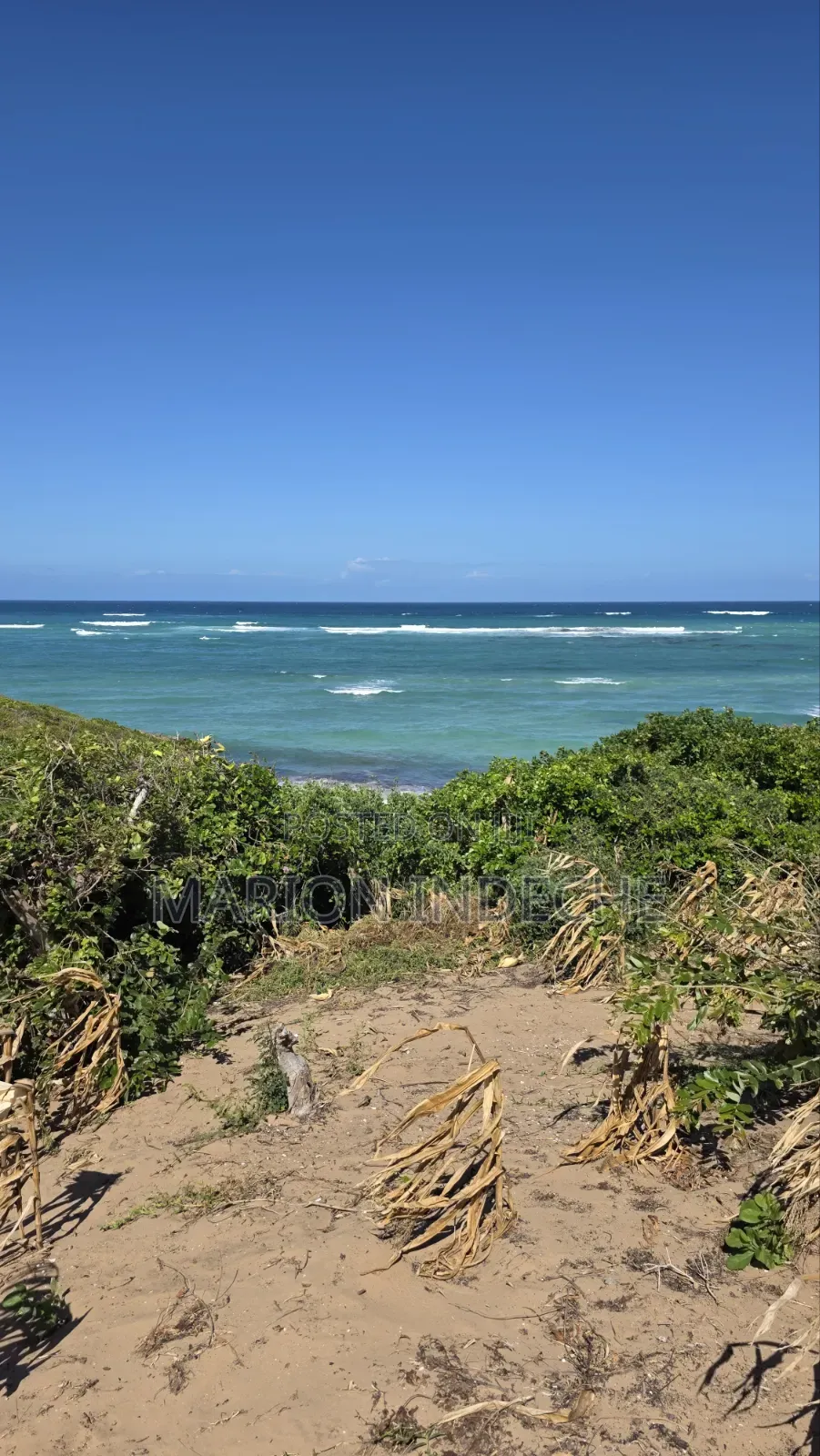 8 Acres Beach Front for Sale at 15m