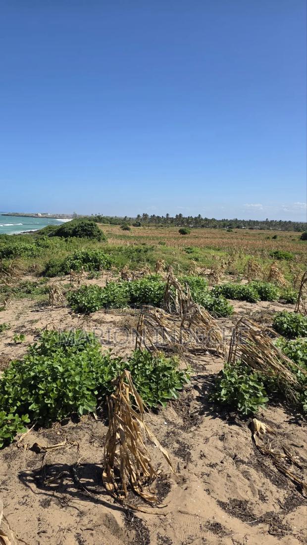 8 Acres Beach Front for Sale at 15m - thumbnail 10