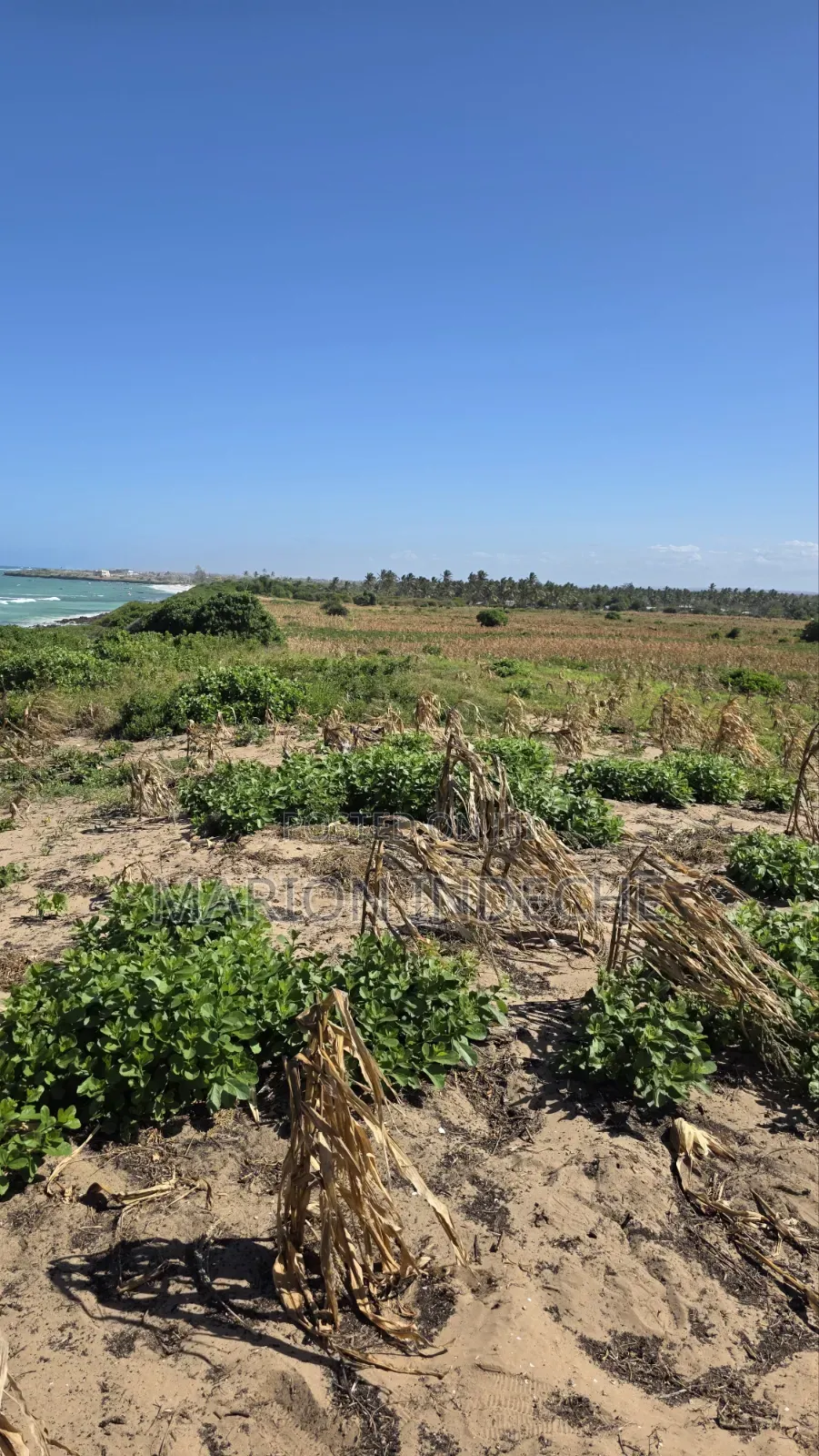 8 Acres Beach Front for Sale at 15m