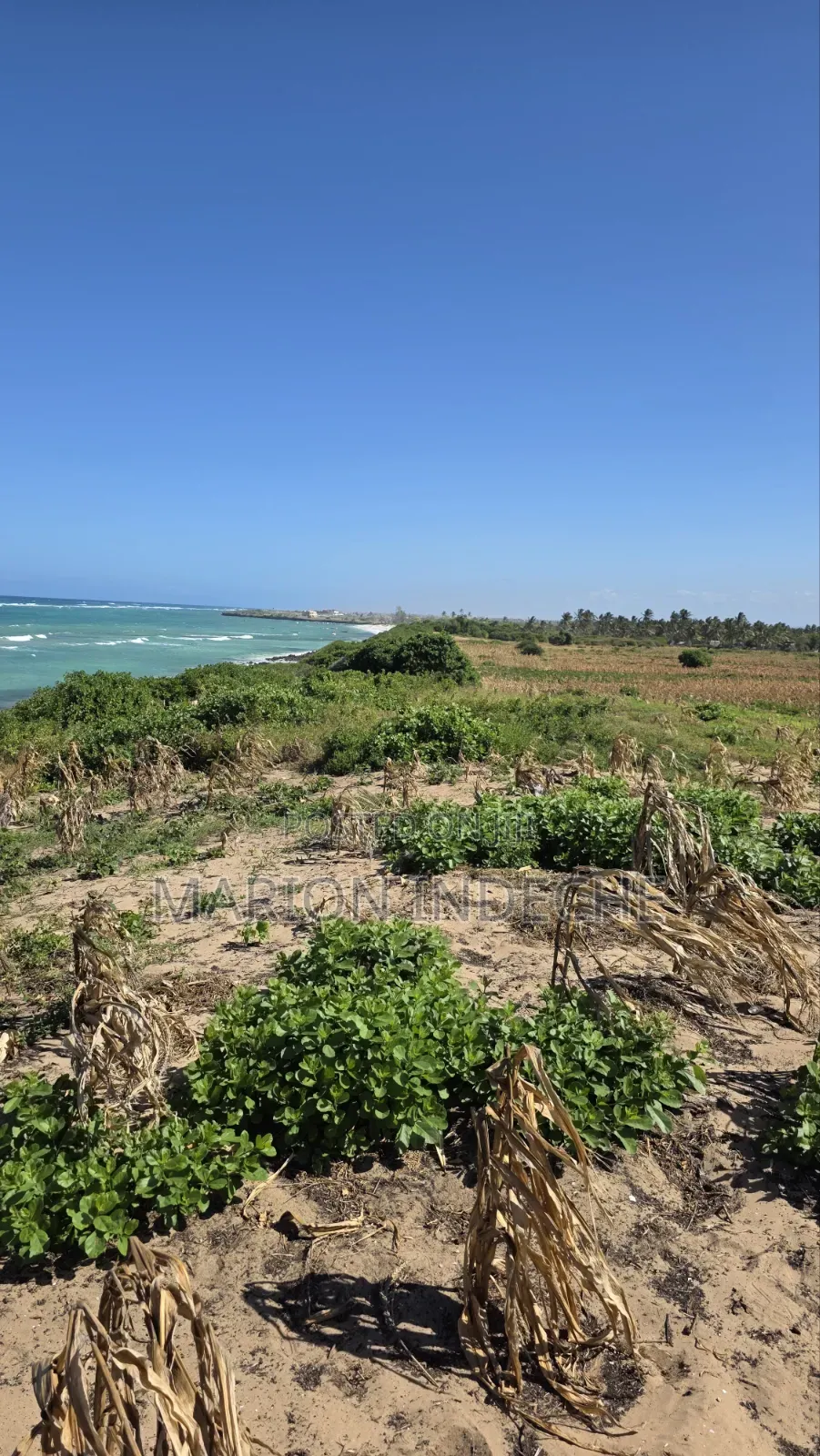 8 Acres Beach Front for Sale at 15m
