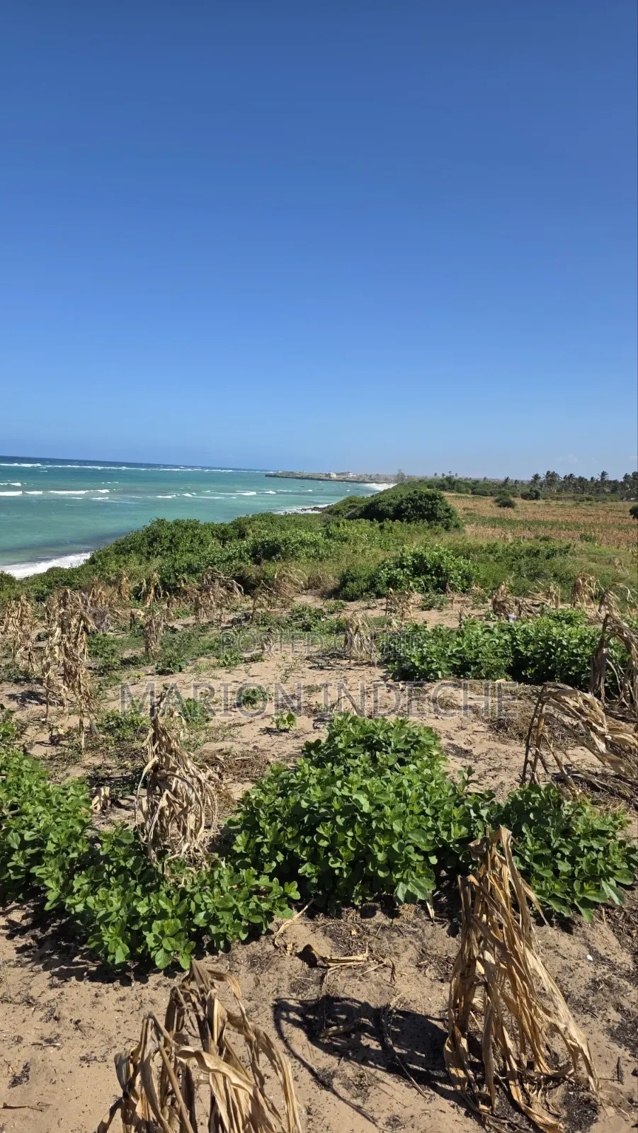 8 Acres Beach Front for Sale at 15m