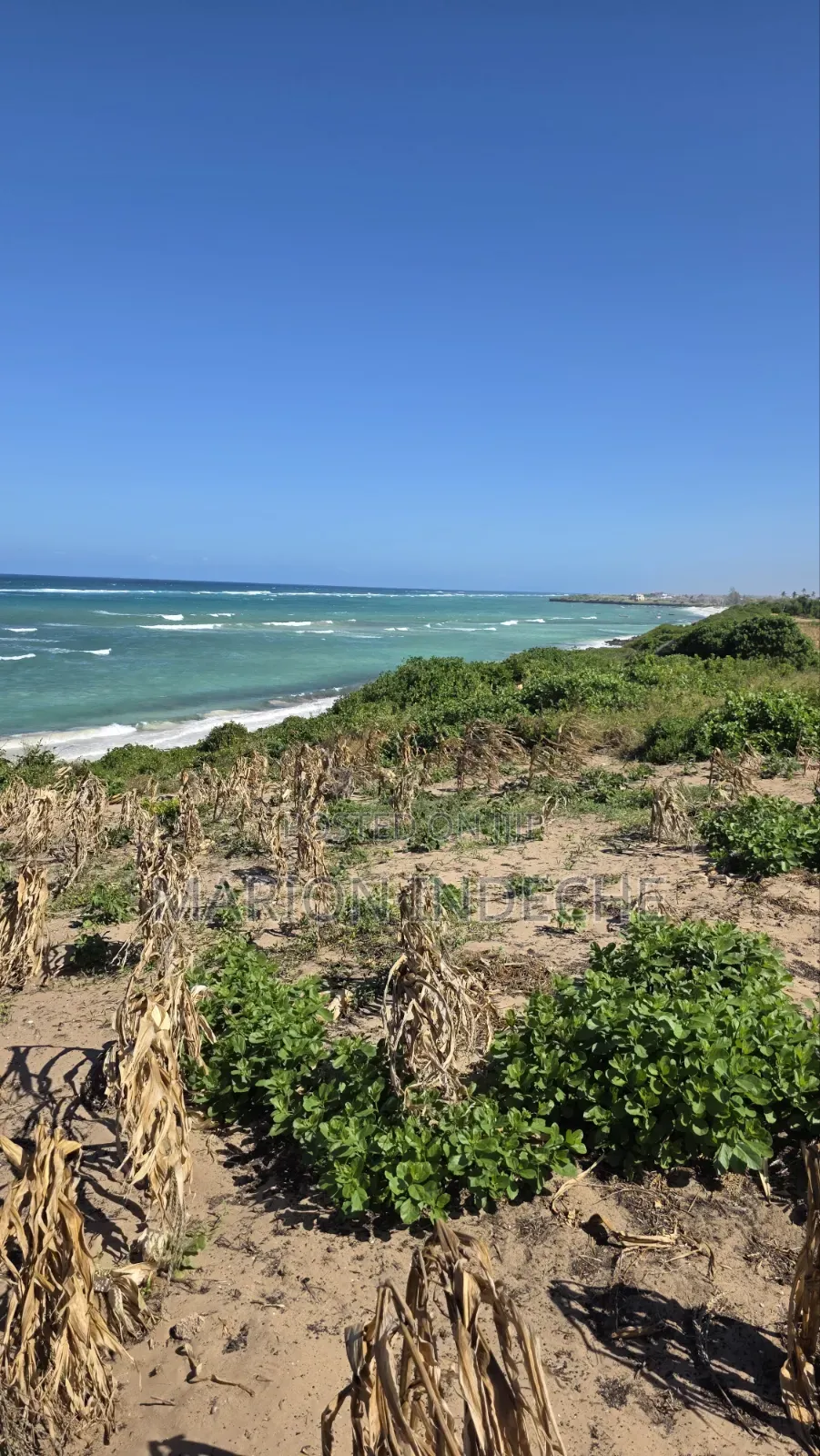 8 Acres Beach Front for Sale at 15m