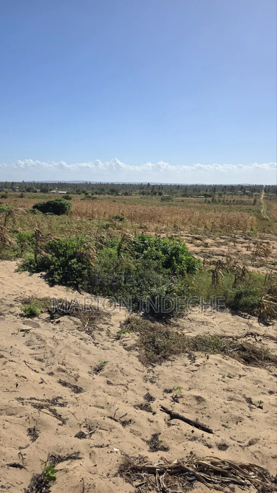 8 Acres Beach Front for Sale at 15m
