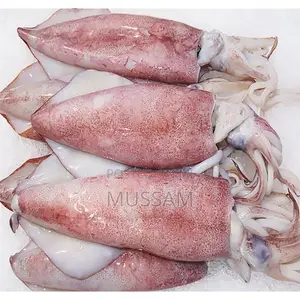 Squid/Ngisi