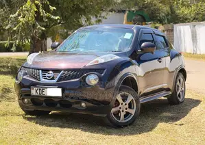 Nissan Juke 2014 Brown