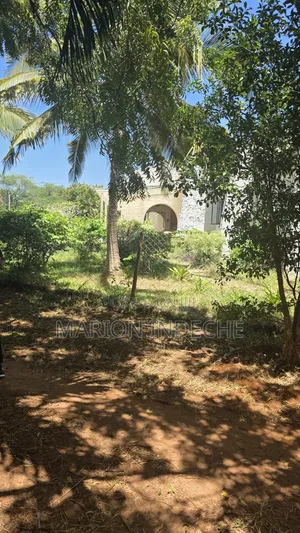 2nd Row 1-Acre Parcel in Bofa for Sale