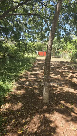 2nd Row 1-Acre Parcel in Bofa for Sale
