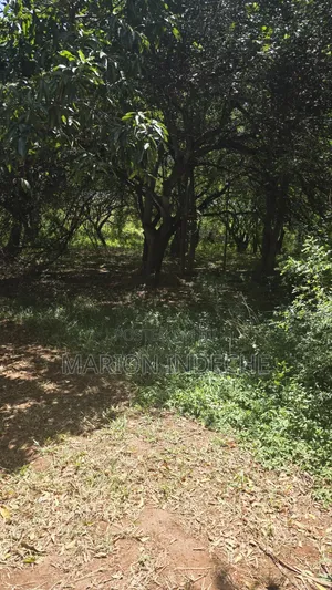 2nd Row 1-Acre Parcel in Bofa for Sale