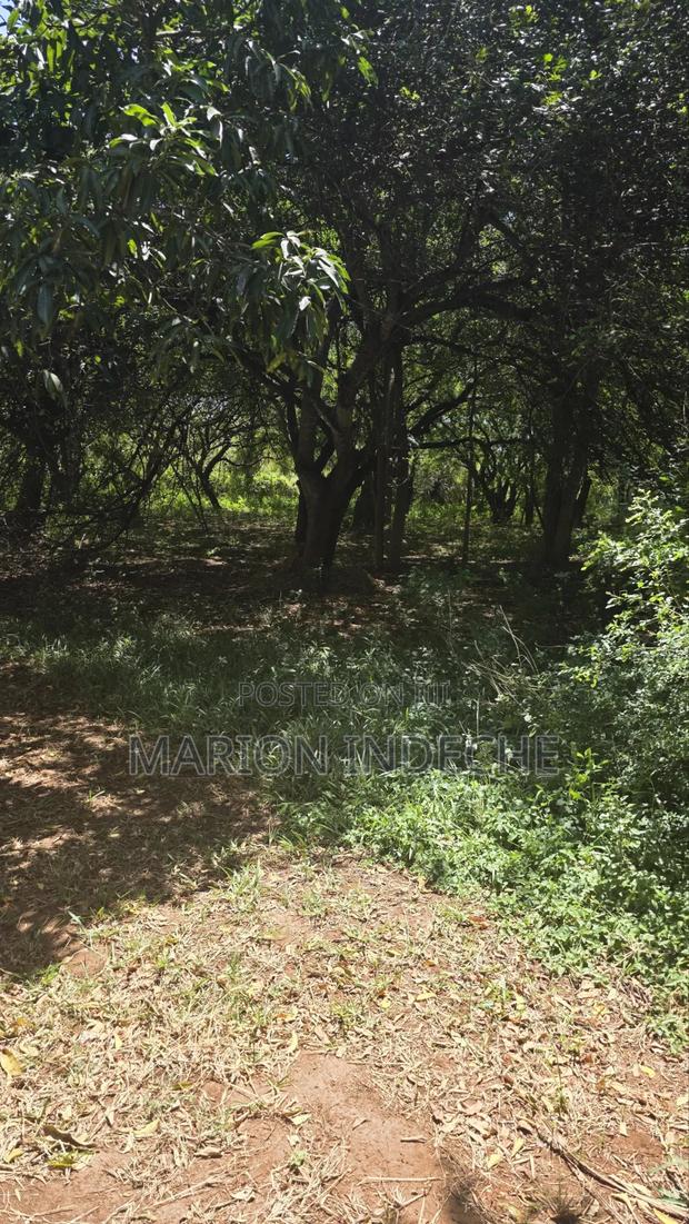 2nd Row 1-Acre Parcel in Bofa for Sale - thumbnail 3